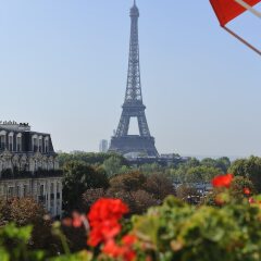 Hotel Plaza Athenee Париж приотельная территория