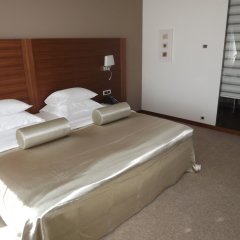 Hotel Aurel in Podgorica, Montenegro from 84$, photos, reviews - zenhotels.com guestroom