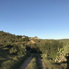 Отель Addo Bush Palace Private Reserve
