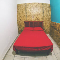 Blue Pepper Hostel Downtown Гвадалахара комната для гостей