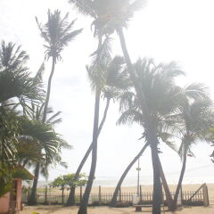 Vista Star Beach Hotel пляж