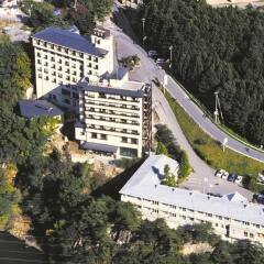 Hotel Manyoutei Никко