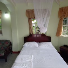 GreenzCove Apartments in Grand Anse, Grenada from 131$, photos, reviews - zenhotels.com guestroom photo 3