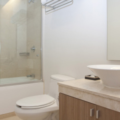 Отель Plaza Suites Mexico City Hotel Мексика, Мехико - отзывы, цены и фото номеров - забронировать отель Plaza Suites Mexico City Hotel онлайн ванная фото 2