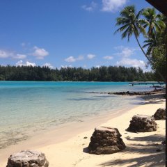 Отель Fare Club - Moorea Французская Полинезия, Муреа - отзывы, цены и фото номеров - забронировать отель Fare Club - Moorea онлайн пляж