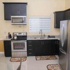 Апартаменты Rochester Modern Chic Apartment в номере фото 2
