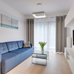 Апартаменты Lion Apartments -Bari Сопот комната для гостей фото 4