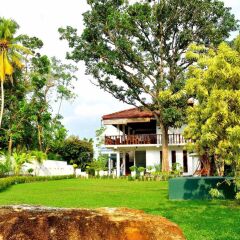 Отель Rockery Villa Шри-Ланка, Бентота - отзывы, цены и фото номеров - забронировать отель Rockery Villa онлайн фото 3