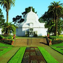Отель The Ritz-Carlton, San Francisco развлечения