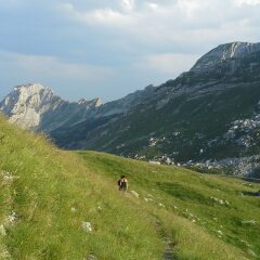 Отель Boskovica Brvnare Жабляк фото 21
