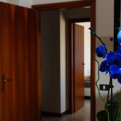 Отель Residence Belvedere Vista Италия, Римини - отзывы, цены и фото номеров - забронировать отель Residence Belvedere Vista онлайн фото 2