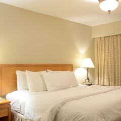 Отель Rosellen Suites At Stanley Park Канада, Ванкувер - отзывы, цены и фото номеров - забронировать отель Rosellen Suites At Stanley Park онлайн комната для гостей фото 2