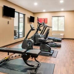 Отель Comfort Suites Columbus Airport США, Колумбус - отзывы, цены и фото номеров - забронировать отель Comfort Suites Columbus Airport онлайн фитнесс-зал