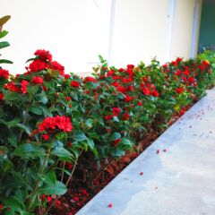 Отель Wongmuang Place фото 3
