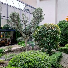 Отель Best Western Crequi Lyon Part Dieu фото 7
