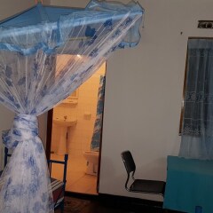 Отель swelanka residence Шри-Ланка, Бентота - отзывы, цены и фото номеров - забронировать отель swelanka residence онлайн с домашними животными