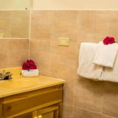 Holiday Haven Resort & Banquet Hall in Runaway Bay, Jamaica from 172$, photos, reviews - zenhotels.com bathroom