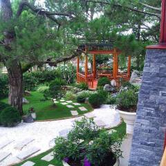 Отель Dreaming Hill Resort Вьетнам, Далат - отзывы, цены и фото номеров - забронировать отель Dreaming Hill Resort онлайн фото 2