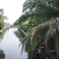 Отель Sleep Bangkok Бангкок приотельная территория
