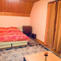 Kety Guesthouse in Zabljak, Montenegro from 88$, photos, reviews - zenhotels.com guestroom photo 2