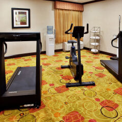 Holiday Inn Express Hotel & Suites Anderson-I-85 фитнесс-зал