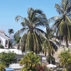 Carib Blue Apartments in Christ Church, Barbados from 137$, photos, reviews - zenhotels.com photo 2