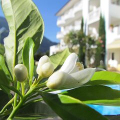Отель Rosenhotel Maria Theresia Лагундо фото 3