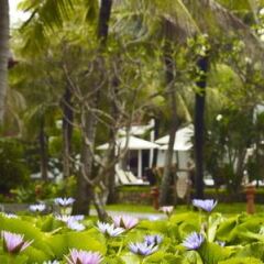 Отель Hoi An Beach Resort фото 9