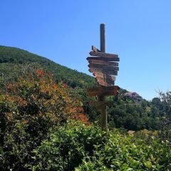 Отель Agriturismo Il Castagno Аджерола фото 2