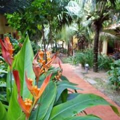 Отель Freebeach Resort развлечения