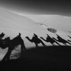 Отель Auberge Kasbah Des Dunes Марокко, Мерзуга - отзывы, цены и фото номеров - забронировать отель Auberge Kasbah Des Dunes онлайн спортивное сооружение