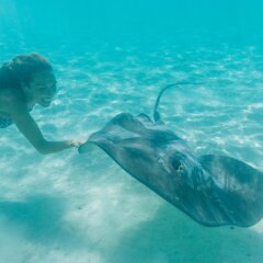 Отель Hilton Moorea Lagoon Resort and Spa спортивное сооружение