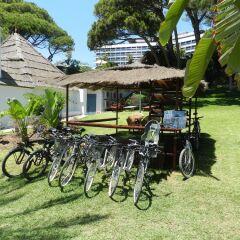 Отель Gran Melia Don Pepe спортивное сооружение