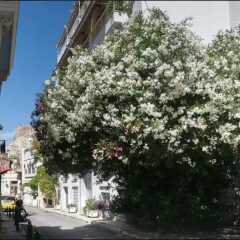 Отель Under the Acropolis, In the Heart of Plaka Греция, Афины - отзывы, цены и фото номеров - забронировать отель Under the Acropolis, In the Heart of Plaka онлайн фото 2