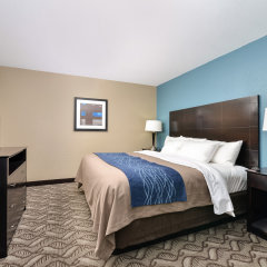 Comfort Inn & Suites Springfield I-55 in Springfield, United States of America from 120$, photos, reviews - zenhotels.com room amenities