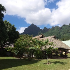 Отель Linareva Moorea Beach Resort фото 4