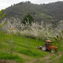 Отель Agriturismo Luce Реггелло приотельная территория