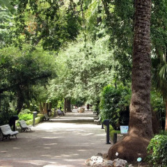 Отель SingularStays Carmen 1 Испания, Валенсия - отзывы, цены и фото номеров - забронировать отель SingularStays Carmen 1 онлайн приотельная территория