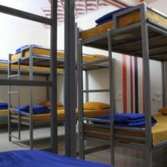 Отель Bunkstop Hostel Jaipur Индия, Джайпур - отзывы, цены и фото номеров - забронировать отель Bunkstop Hostel Jaipur онлайн комната для гостей фото 2