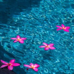 Отель Samui Sense Beach Resort спортивное сооружение