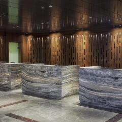 Radisson Blu Hotel & Spa, Istanbul Tuzla