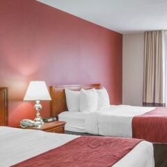 Отель Comfort Inn & Suites South Канада, Калгари - отзывы, цены и фото номеров - забронировать отель Comfort Inn & Suites South онлайн детские мероприятия фото 2