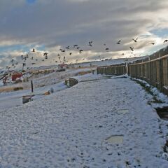 Отель Altiplanico Puerto Natales пляж