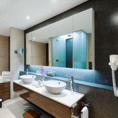 Carlton Downtown Hotel in Dubai, United Arab Emirates from 185$, photos, reviews - zenhotels.com bathroom