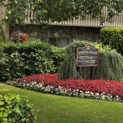 Отель Royal Scot Hotel & Suites Канада, Виктория - отзывы, цены и фото номеров - забронировать отель Royal Scot Hotel & Suites онлайн фото 10