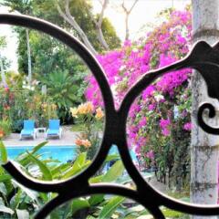 Отель The Blue House Boutique Bed & Breakfast Ямайка, Очо-Риос - отзывы, цены и фото номеров - забронировать отель The Blue House Boutique Bed & Breakfast онлайн балкон
