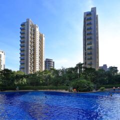 Hisoar Hotel Shenzhen Шэньчжэнь бассейн фото 2