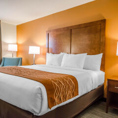 Отель Comfort Inn комната для гостей фото 4