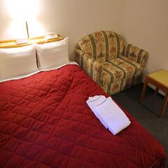 Hotel New Gaea Hakataeki-minami (ex. Hotel Smart Inn Hakata Ekimae) Фукуока детские мероприятия