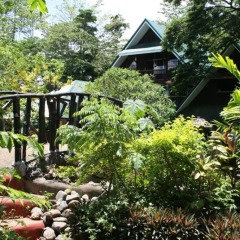 Отель Bamboo Rooms & Cottages by Dang Maria BB Филиппины, Пуэрто-Принцеса - отзывы, цены и фото номеров - забронировать отель Bamboo Rooms & Cottages by Dang Maria BB онлайн фото 9